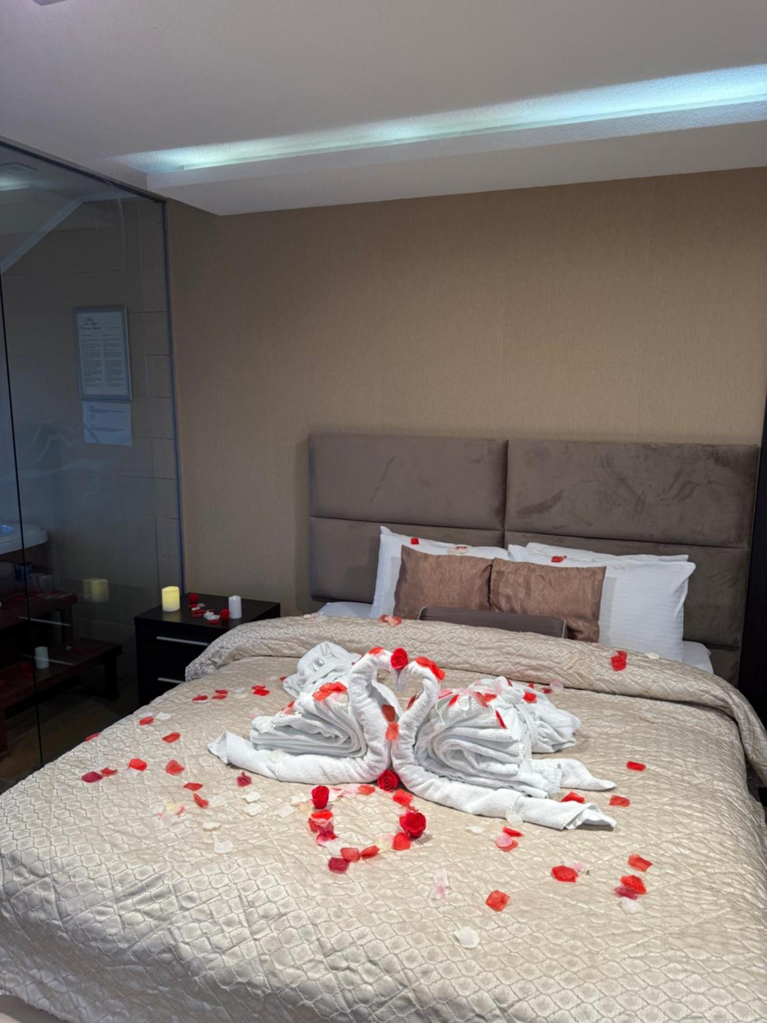 Guest House Panorama Aqualux With Free Parking ノヴィ・サド エクステリア 写真