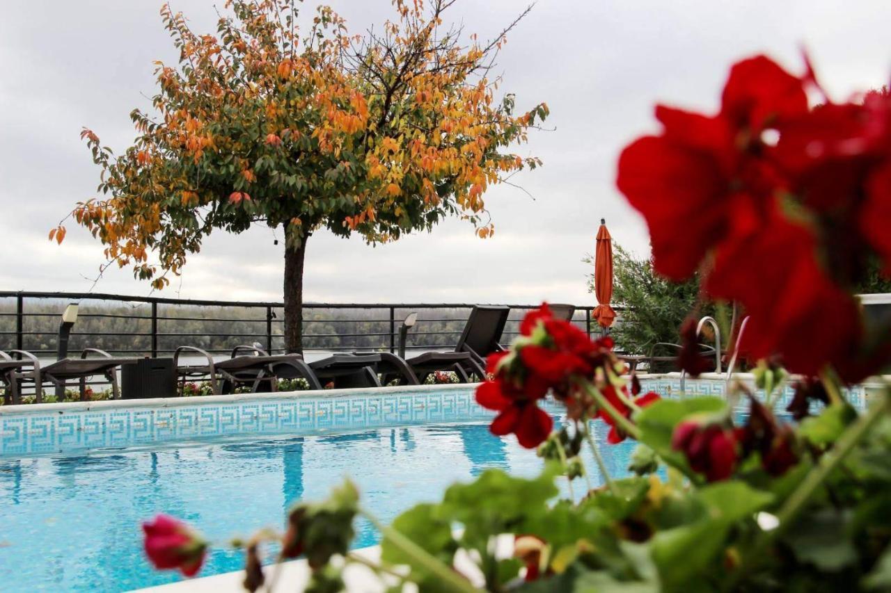 Guest House Panorama Aqualux With Free Parking ノヴィ・サド エクステリア 写真